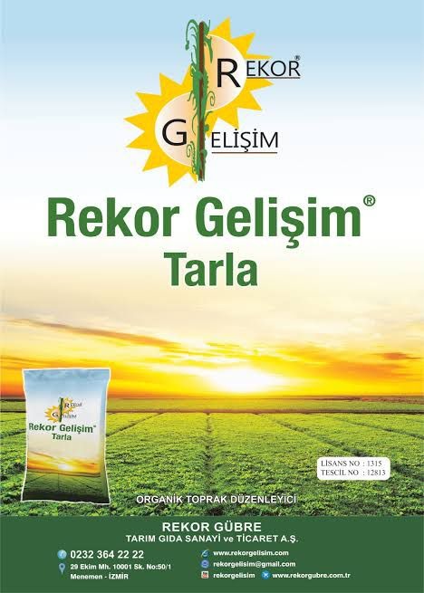 rekor-gelisim-banner
